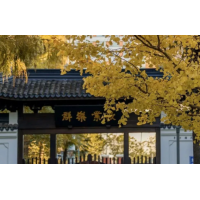 宏观经济形势专题