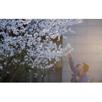 国资系统干部素质能力提升培训