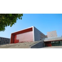 党支部书记党建能力提升专题培训