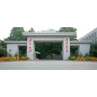 党支部书记党建能力提升专题培训